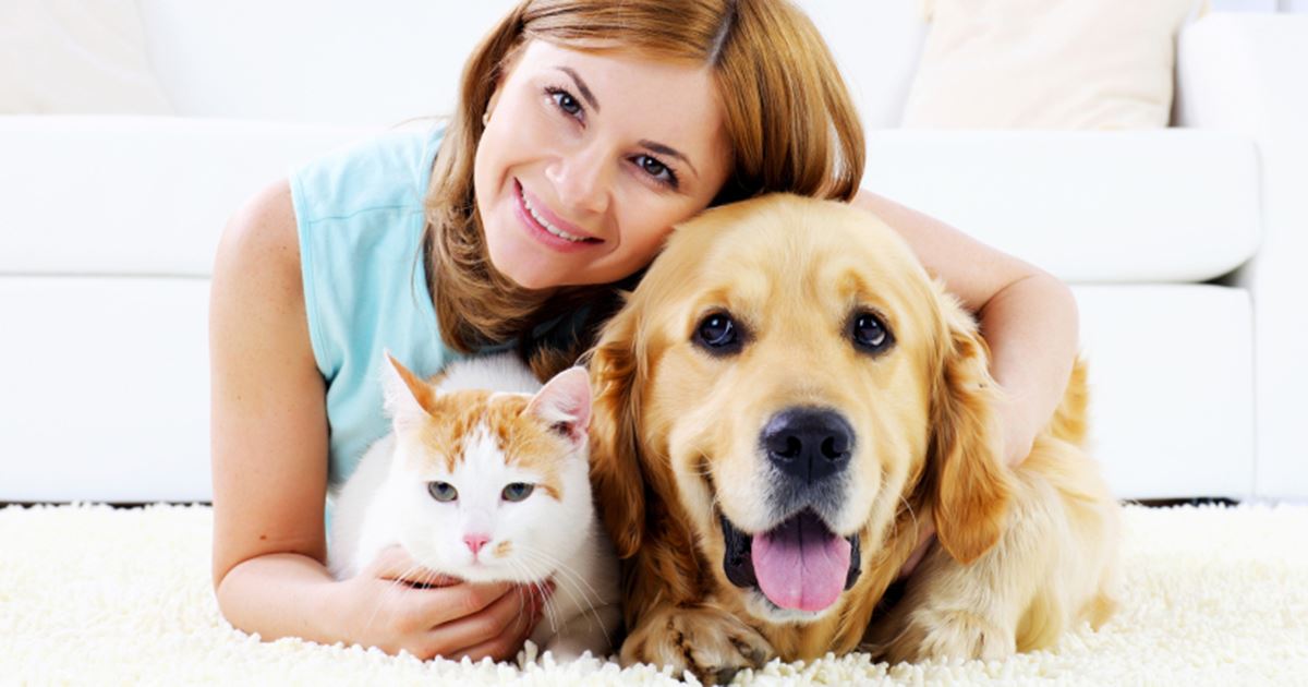 Picture for category Pet Care