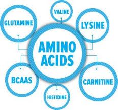 Picture for category Amino Acids