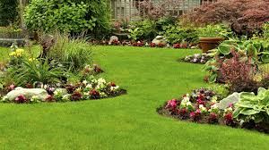 Picture for category Gardening & Lawn Care