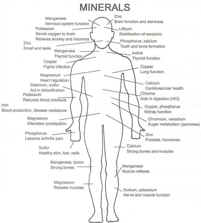 Picture for category Trace Minerals