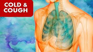 Picture for category Cough & Cold