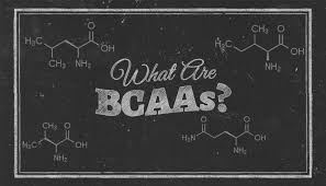 Picture for category BCAAs